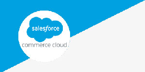 Salesforce Commerce Cloud Platform