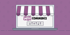 WooCommerce eCommerce WordPress Plugin