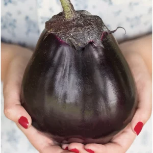 meatball eggplant
