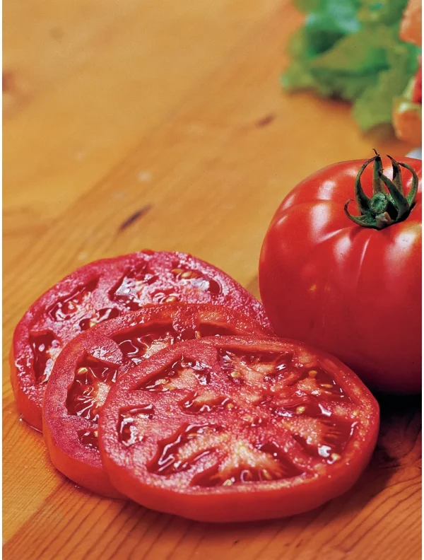 steak sandwich hybrid tomatoes