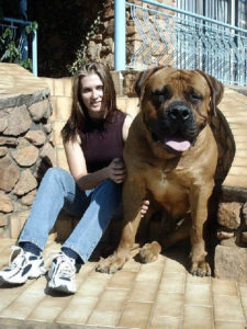 Big Dawg