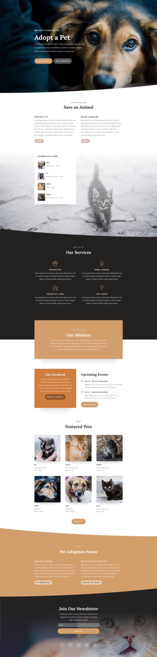 Animal Shelter Landing Page